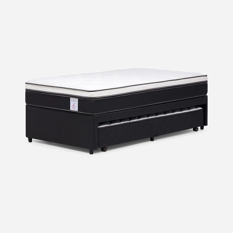 CAMA DIVAN ROSEN NEW STYLE 6 1.5 PLAZAS  - 2