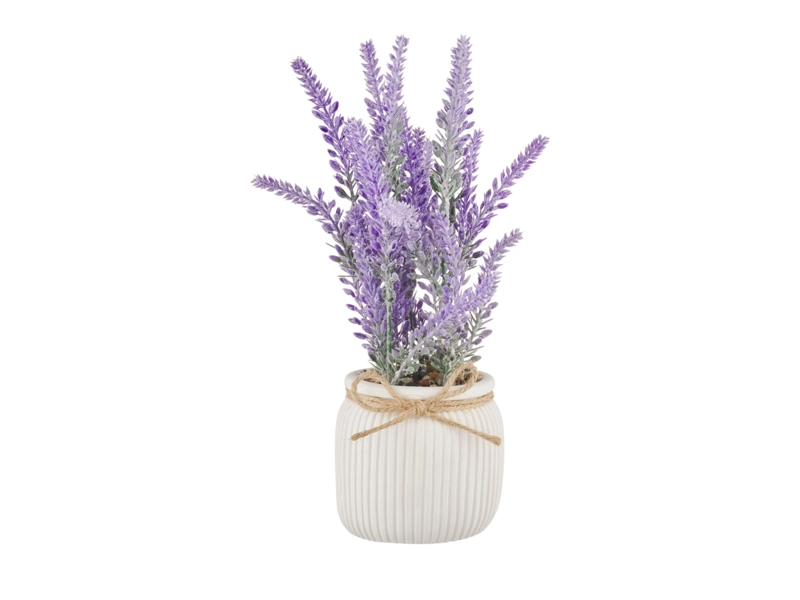 PLANTA RIPLEY HOME LAVANDA MACETA - 1