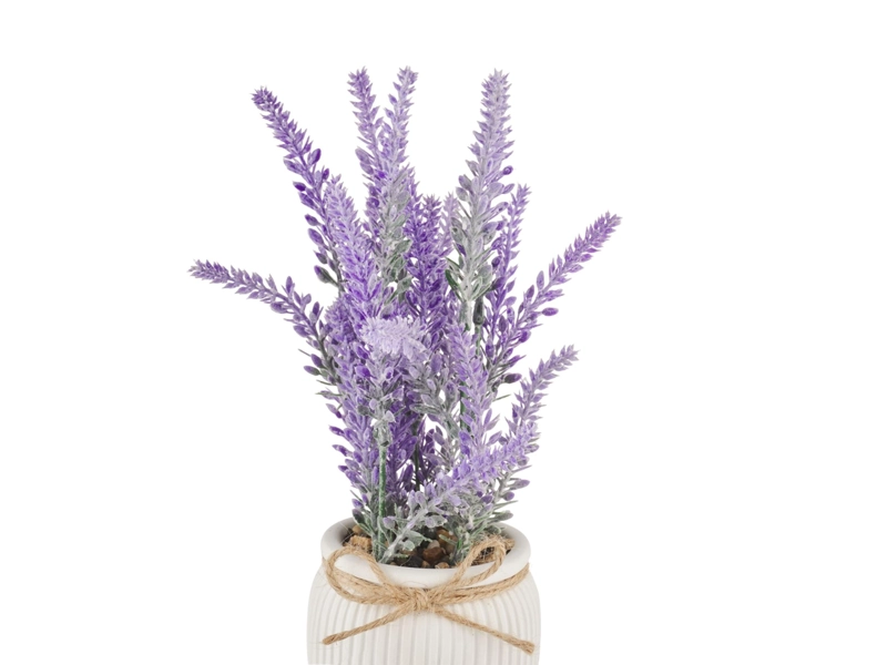 PLANTA RIPLEY HOME LAVANDA MACETA - 2