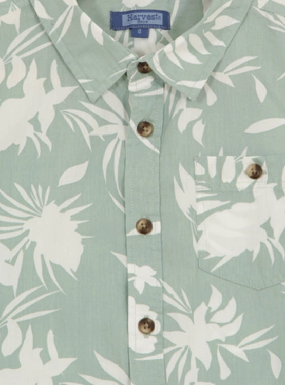 CAMISA MANGA CORTA ALGODÓN NIÑO HARVEST PRINT - 3