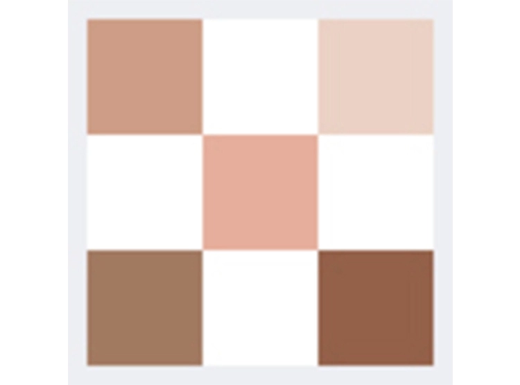 PALETA SOMBRA DE OJOS DIOR SHOW 5 COLORES 7 GR - 7