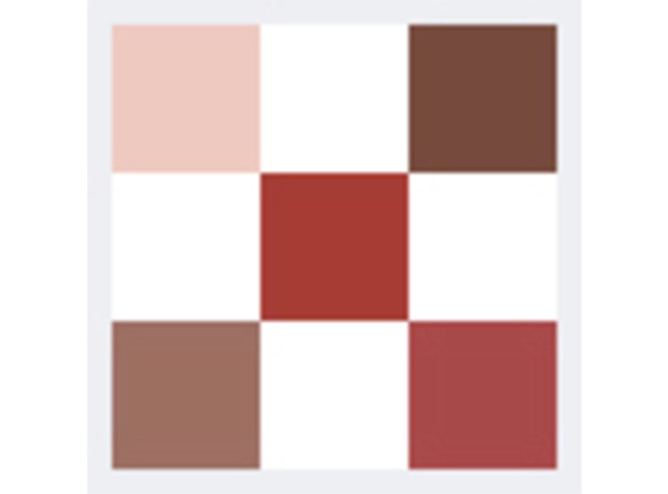 PALETA SOMBRA DE OJOS DIOR SHOW 5 COLORES 7 GR - 7