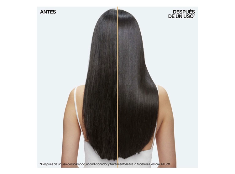 TRATAMIENTO CAPILAR REDKEN LEAV-IN HIDRATANTE CABELLO SECO MOISTURE RESTORE ALL SOFT 150 ML - 3