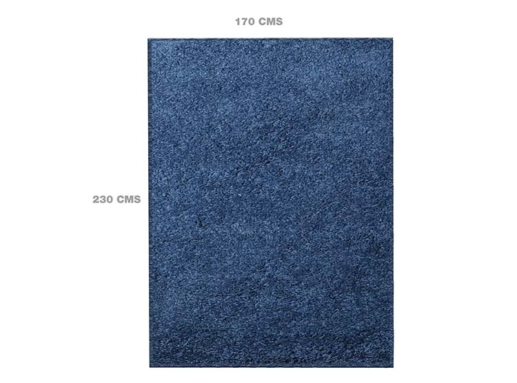 ALFOMBRA DORAL SHAGGY AZUL 170X230 - 4