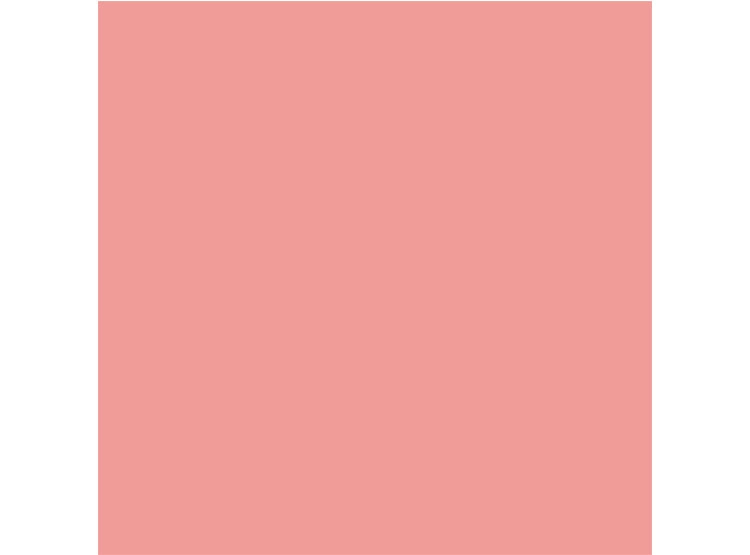 RUBOR DIOR ROUGE BLUSH 6.7 GR - 6