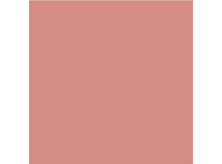 RUBOR DIOR ROUGE BLUSH 6.7 GR - 6
