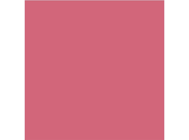 RUBOR DIOR ROUGE BLUSH 6.7 GR - 6