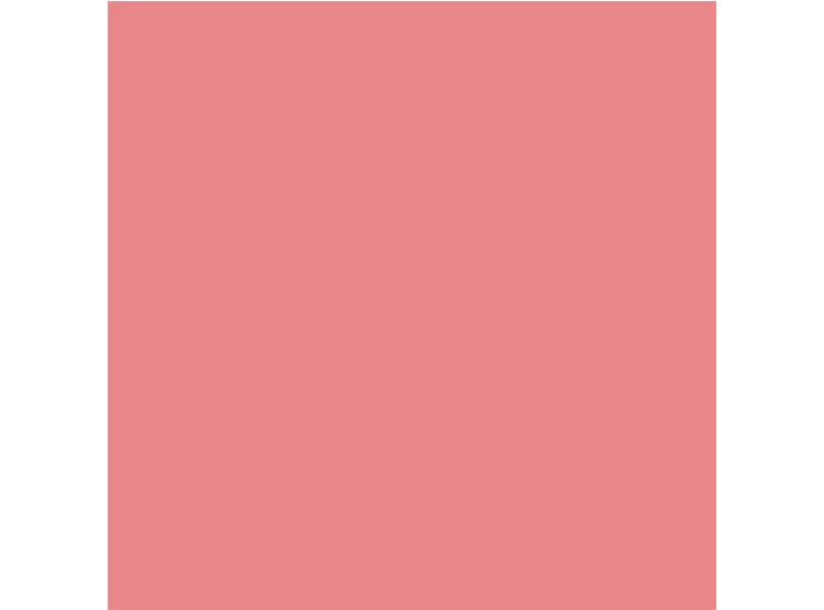 RUBOR DIOR ROUGE BLUSH 6.7 GR - 6