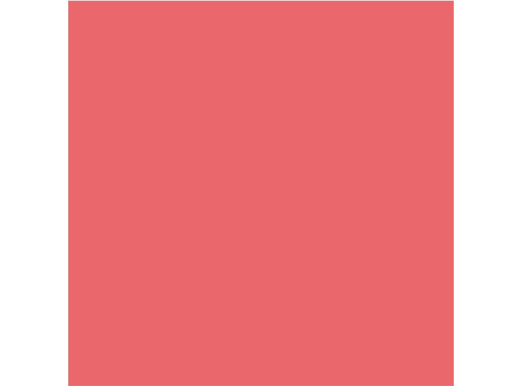 RUBOR DIOR ROUGE BLUSH 6.7 GR - 6