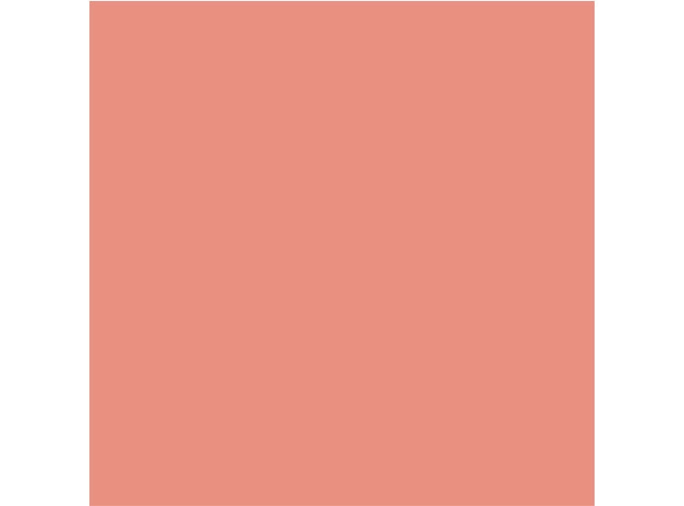 RUBOR DIOR ROUGE BLUSH - 6