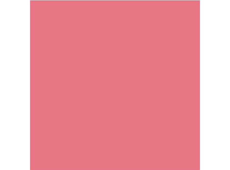 RUBOR DIOR ROUGE BLUSH 6.7 GR - 6