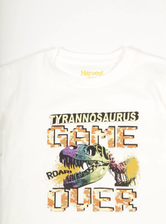 POLERA MANGA LARGA ALGODÓN NIÑO HARVEST PRINT DINOSAURIO - 3