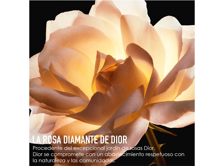 SERUM FACIAL DIOR PRESTIGE LA MICRO-LOTION ROSE 150 ML - 4