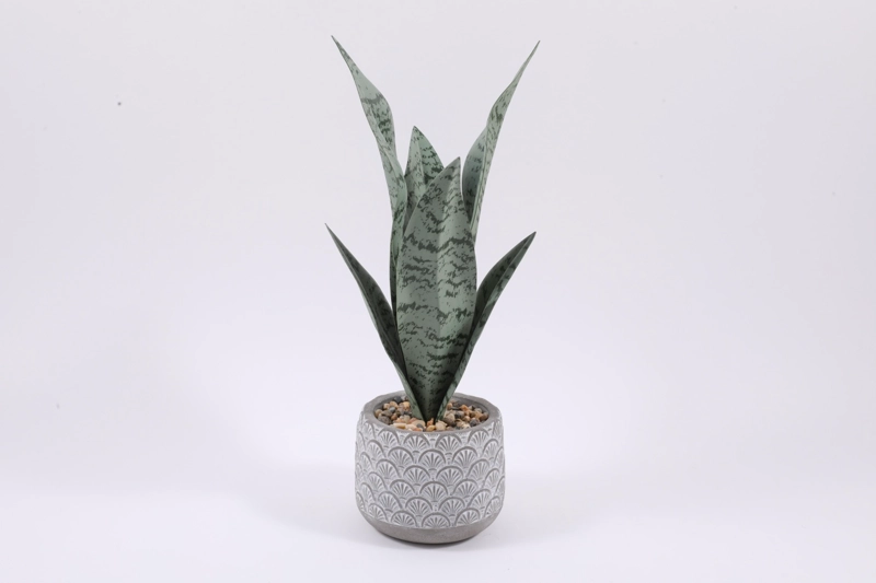 PLANTA DECORATIVA RIPLEY HOME LENGUA SUEGRA VERDE - 1