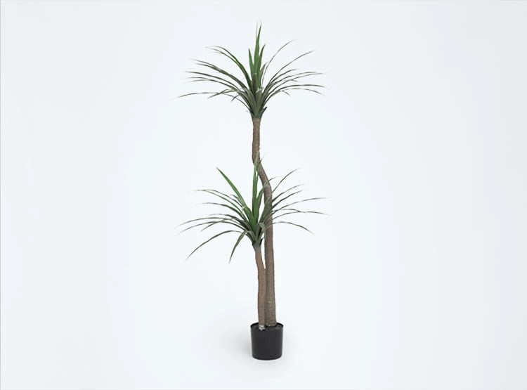 PLANTA DECORATIVA RIPLEY HOME DRACENA PALMERA VERDE - 1