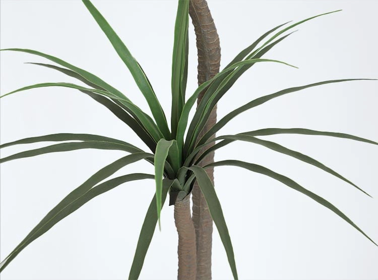 PLANTA DECORATIVA RIPLEY HOME DRACENA PALMERA VERDE - 2
