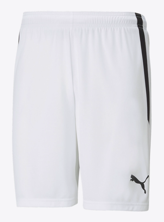 SHORT HOMBRE PUMA 704924