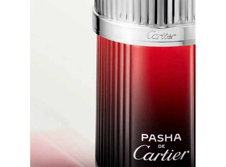 PERFUME CARTIER PASHA NOIR SPORT HOMBRE EDT 100 ML - 3