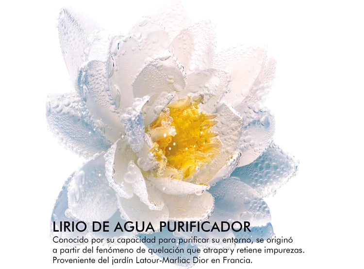 DESMAQUILLANTE DE OJOS Y LABIOS DIOR TRATAMIENTO BIFÁSICO CON EXTRACTO DE NENÚFAR BLANCO 125 ML - 3