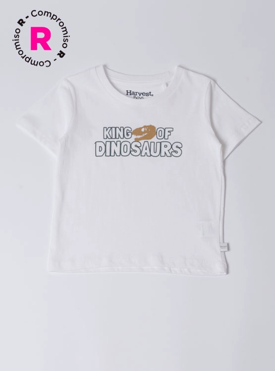 POLERA MANGA CORTA NIÑO HARVEST - 1