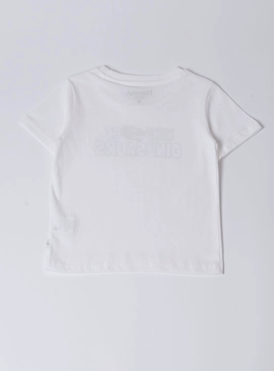 POLERA MANGA CORTA NIÑO HARVEST - 2