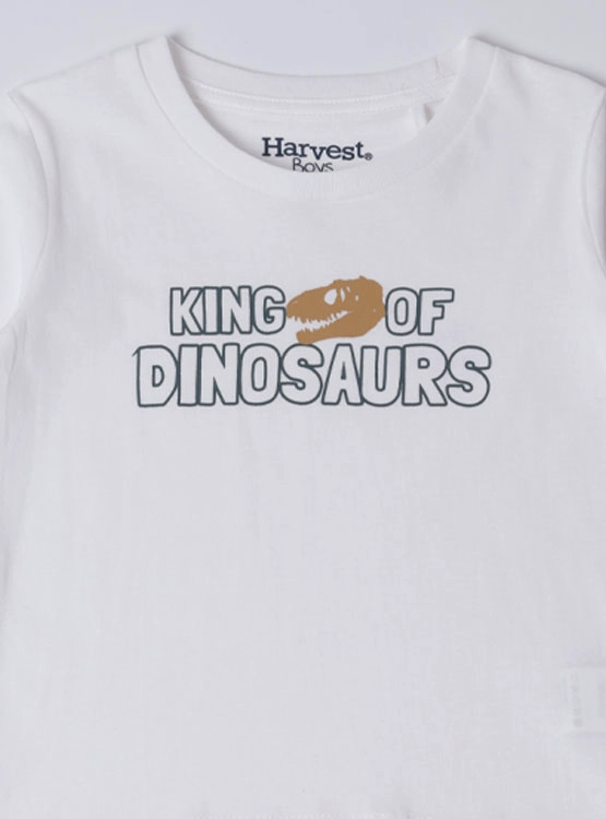 POLERA MANGA CORTA NIÑO HARVEST - 3