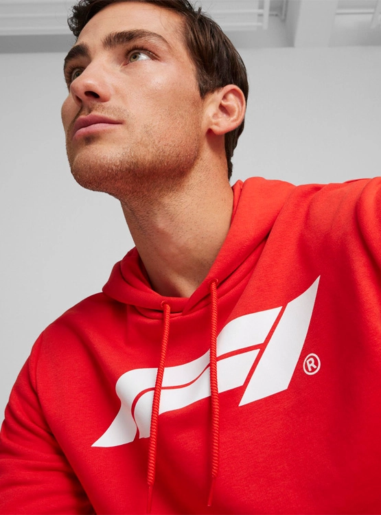 POLERÓN HOMBRE PUMA F1 ESS LOGO HOODIE - 3