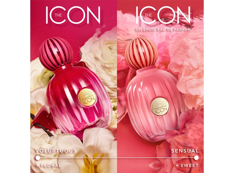 PERFUME ANTONIO BANDERAS THE ICON SPLENDID MUJER EDP 50 ML - 4