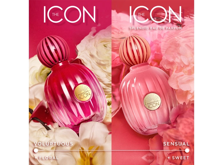 PERFUME ANTONIO BANDERAS THE ICON SPLENDID MUJER EDP 50 ML - 9