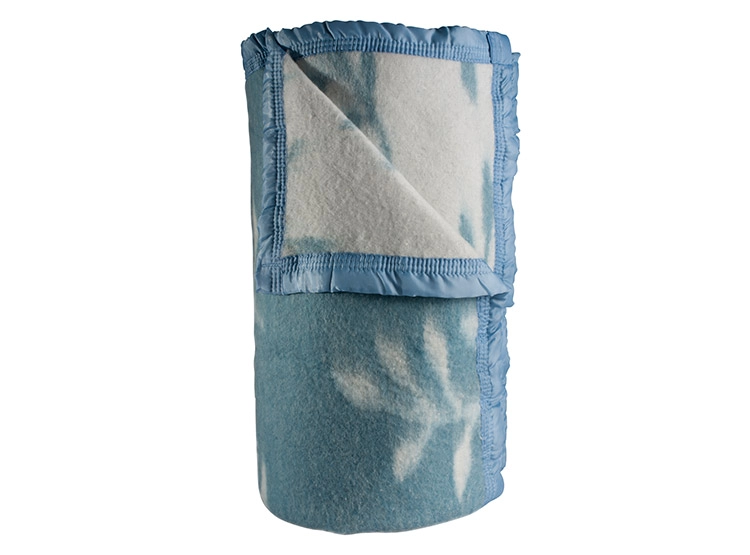 FRAZADA ANDES RAMA JACQUARD 1.5 PLAZAS 210 X 160 CM CELESTE - 2
