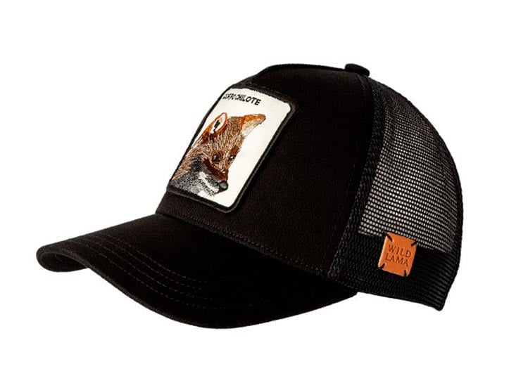 GORRA WILD LAMA ZORRO CHILOTE NEGRO - 2