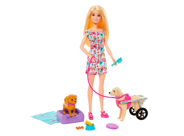 SET DE JUEGO BARBIE PASEO DE PERRITO CON SILLA DE RUEDAS - 1