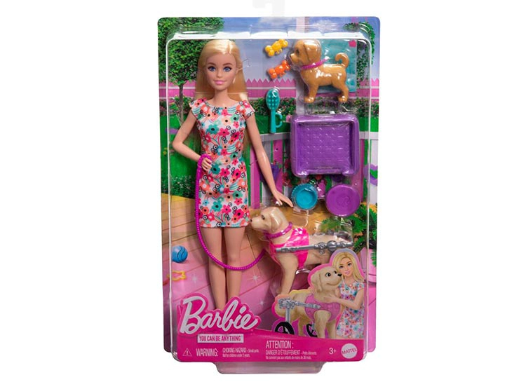 SET DE JUEGO BARBIE PASEO DE PERRITO CON SILLA DE RUEDAS - 6
