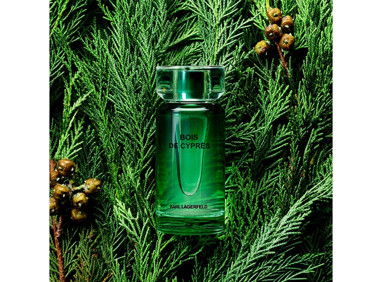 PERFUME KARL LAGERFELD BOIS DE CYPRES HOMBRE EDT 100 ML - 4