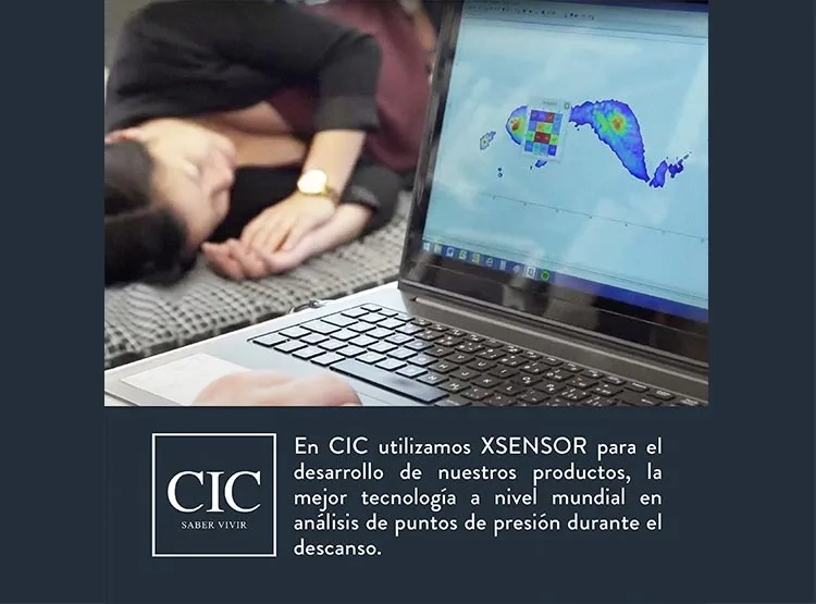 JUEGO DE DORMITORIO CIC CAMA EUROPEA EXCELLENCE PLUS BD 2 PLAZAS + RESPALDO VILLARRICA ALPINO - 6