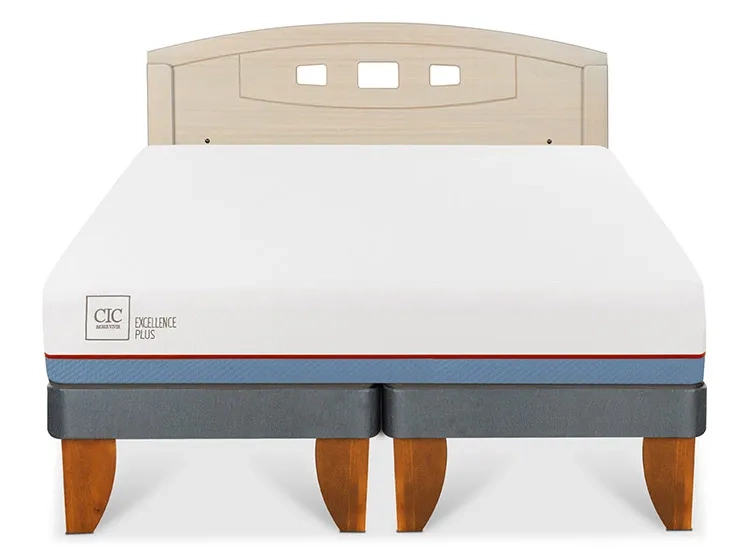 JUEGO DE DORMITORIO CIC CAMA EUROPEA EXCELLENCE PLUS BD 2 PLAZAS + RESPALDO GALES ALPINO - 1