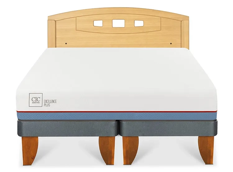 JUEGO DE DORMITORIO CIC CAMA EUROPEA EXCELLENCE PLUS BD 2 PLAZAS + RESPALDO GALES MOSTAZA - 1
