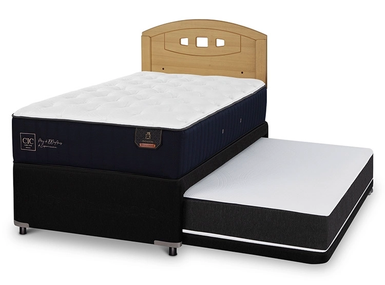 JUEGO DE DORMITORIO CIC CAMA DIVAN PREMIUM 1.5 PLAZAS NEGRO + RESPALDO GALES MOSTAZA - 2