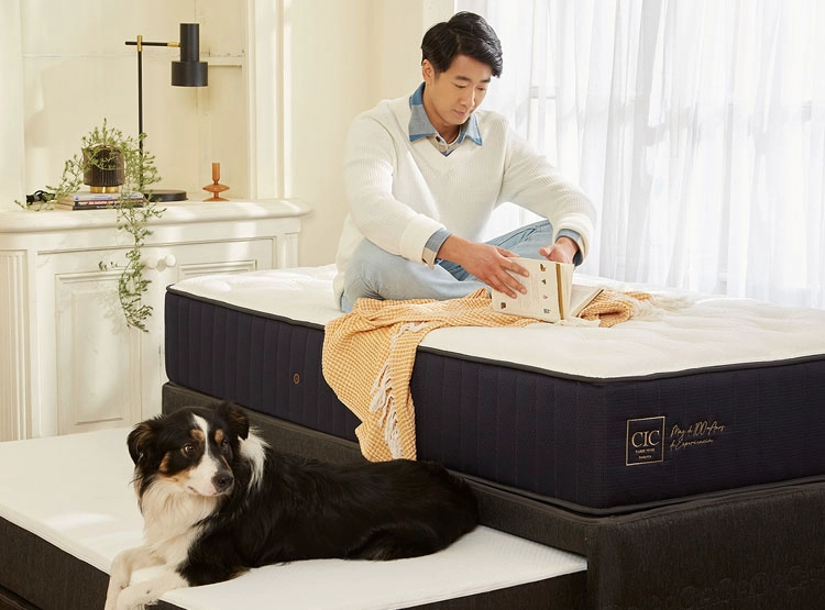 JUEGO DE DORMITORIO CIC CAMA DIVAN PREMIUM 1.5 PLAZAS NEGRO + RESPALDO DUBLIN ALPINO - 6