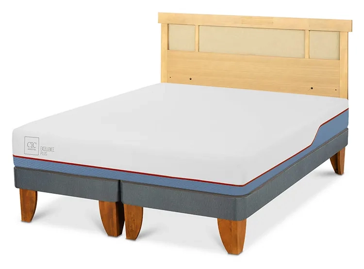 JUEGO DE DORMITORIO CIC CAMA EUROPEA EXCELLENCE PLUS BD 2 PLAZAS + RESPALDO DUBLIN MOSTAZA - 2