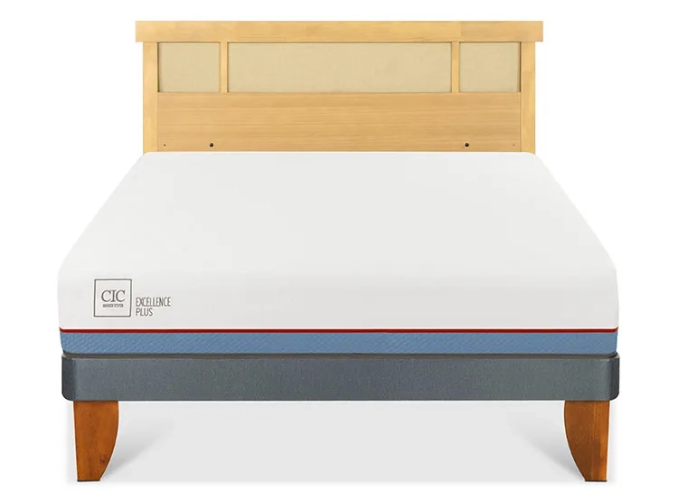 JUEGO DE DORMITORIO CIC CAMA EUROPEA EXCELLENCE PLUS BN 2 PLAZAS + RESPALDO DUBLIN MOSTAZA - 1