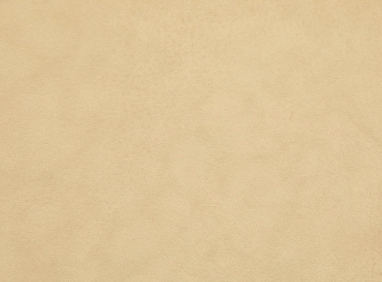 RESPALDO CIC DUBLIN 2 PLAZAS MOSTAZA - 5