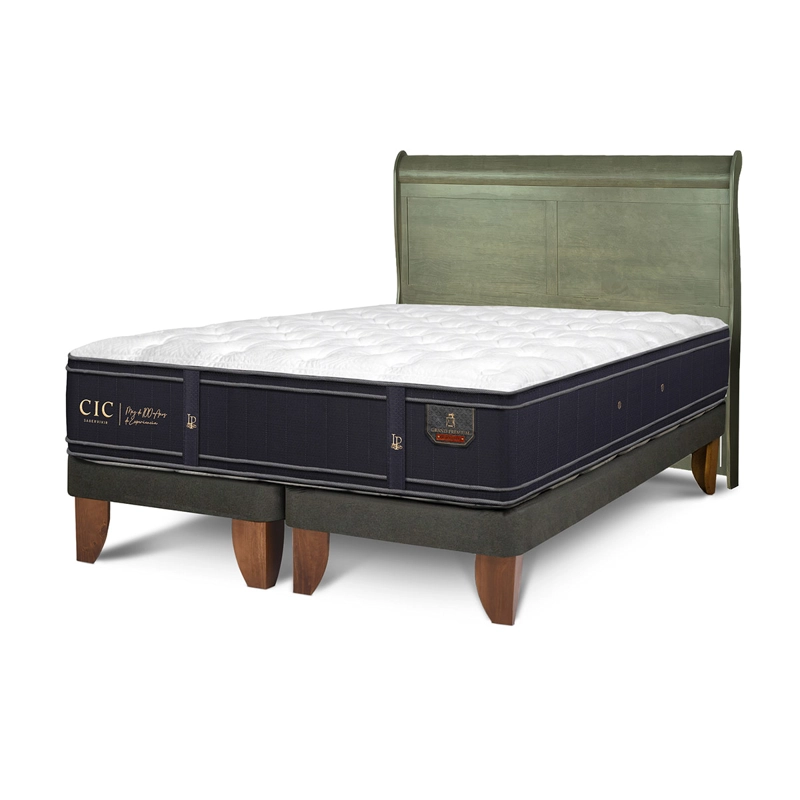 JUEGO DE DORMITORIO CIC CAMA EUROPEA GRAND PREMIUM BD 2 PLAZAS + RESPALDO MIRO OLIVO - 2