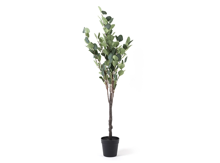ADORNO RIPLEY HOME PLANTA EUCALIPTO 110CM - 1
