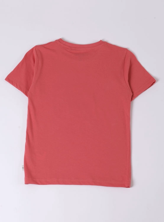 POLERA MANGA CORTA HARVEST - 2