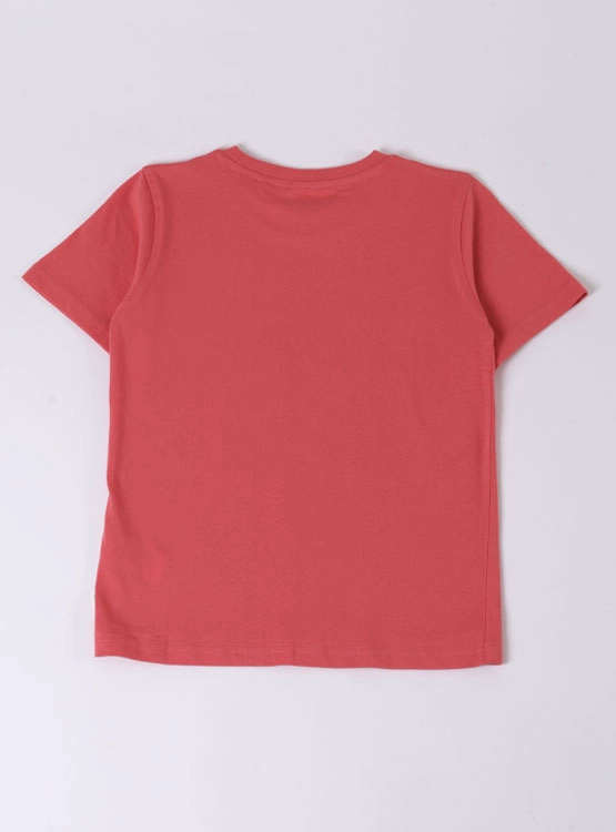 POLERA MANGA CORTA ALGODÓN NIÑO HARVEST - 2