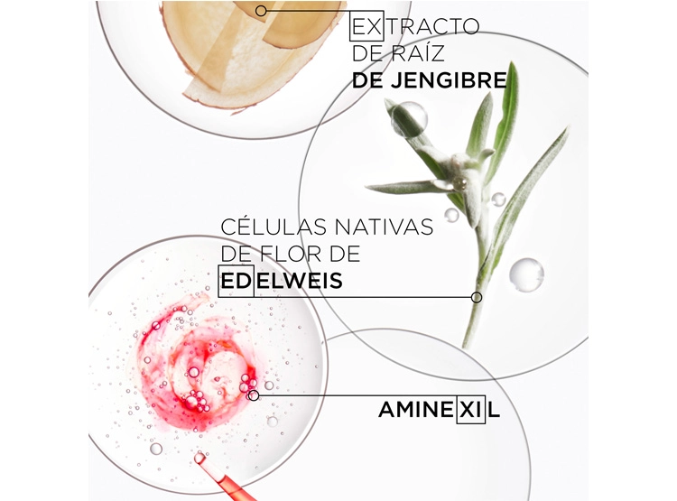SHAMPOO NUTRITIVO ANTICAÍDA CABELLO FRÁGIL KÉRASTASE BAIN NUTRI-FORTIFIANT GENESIS 250 ML - 4