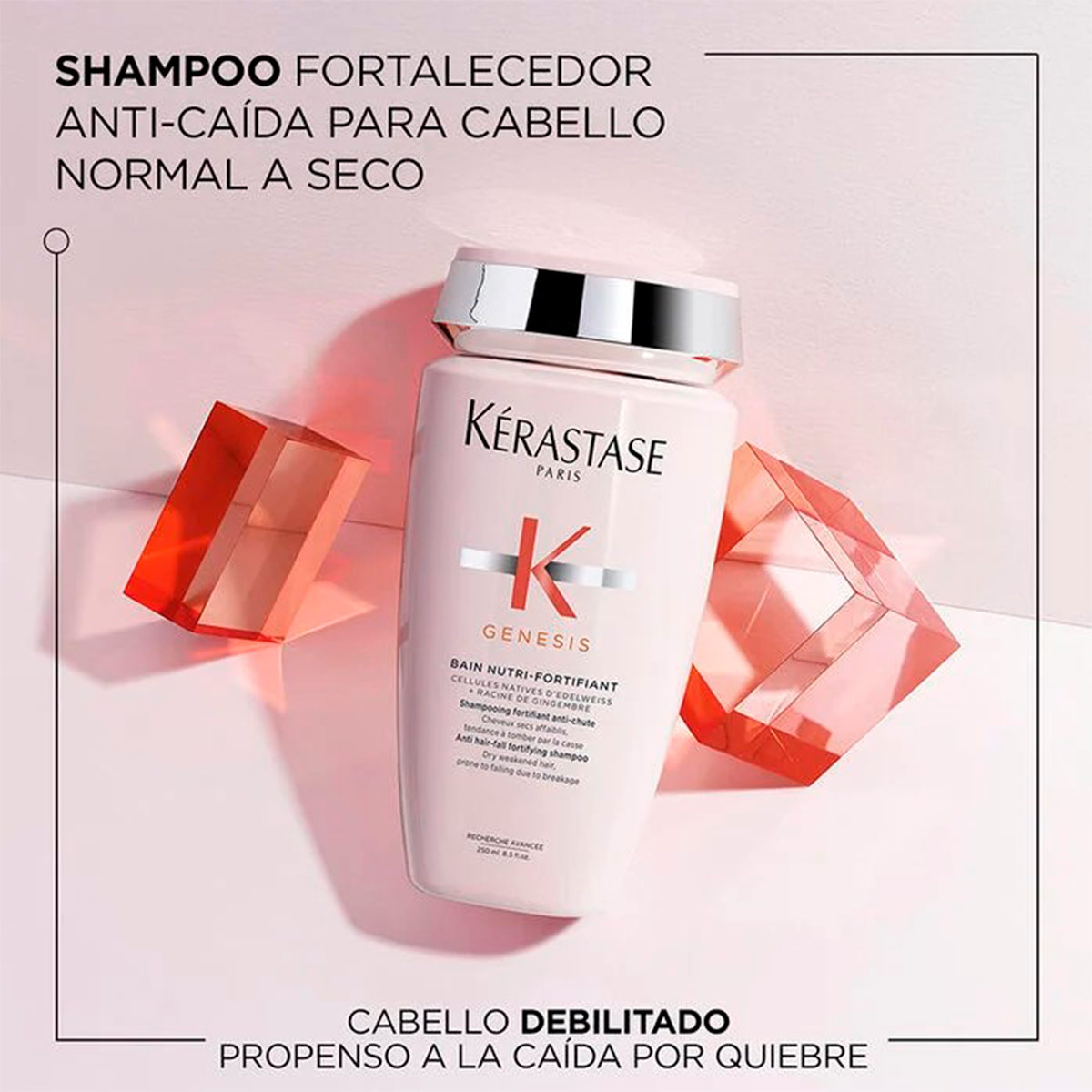 SHAMPOO NUTRITIVO ANTICAÍDA CABELLO FRÁGIL KÉRASTASE BAIN NUTRI-FORTIFIANT GENESIS 500 ML - 2