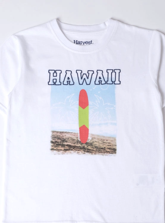 POLERA MANGA CORTA NIÑO HARVEST - 3