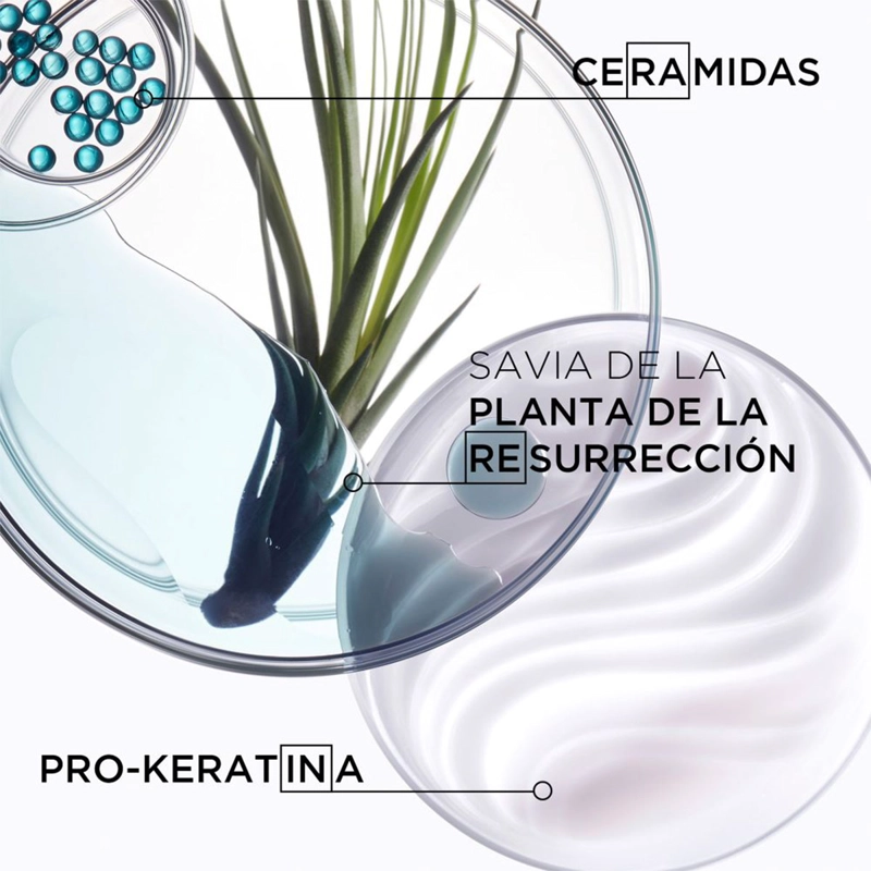 SHAMPOO FORTALECEDOR CABELLO FRÁGIL Y DEBILITADO KÉRASTASE BAIN FORCE ARCHITECTE RESISTANCE 500 ML - 4
